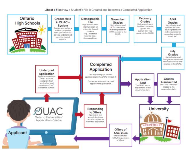 加拿大申请系统OUAC合并申请通道，OSSD 101通道失去本地毕业生申请优势？